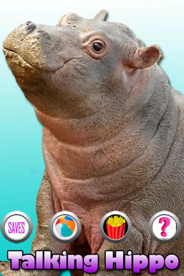 Talking Hippo Screenshots