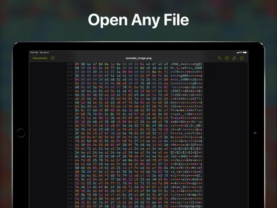 Скриншоты Hexer — Hex File Viewer iPad 