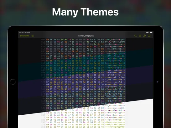 Скриншоты Hexer — Hex File Viewer iPad 
