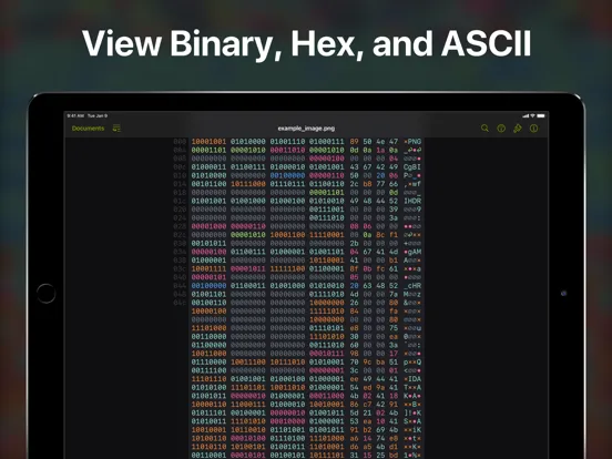 Скриншоты Hexer — Hex File Viewer iPad 