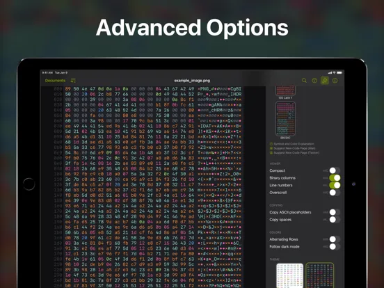 Скриншоты Hexer — Hex File Viewer iPad 