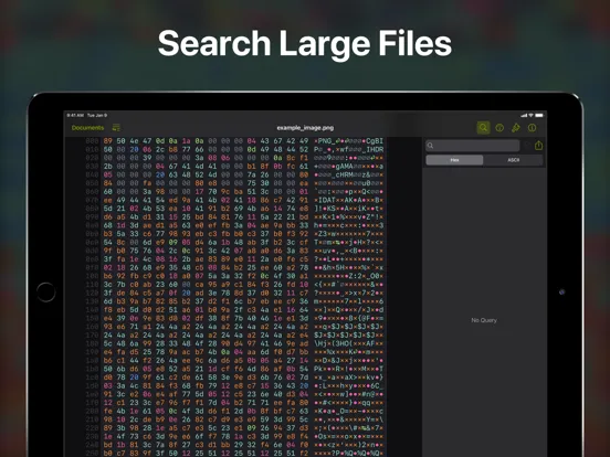 Скриншоты Hexer — Hex File Viewer iPad 