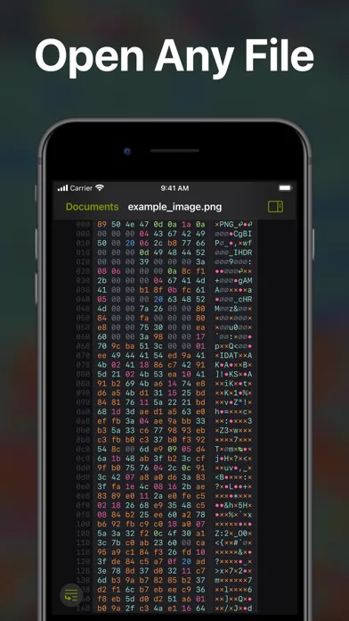 Скриншоты Hexer — Hex File Viewer