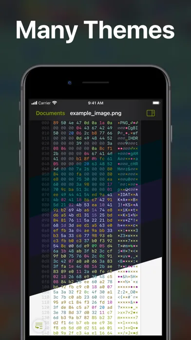 Скриншоты Hexer — Hex File Viewer