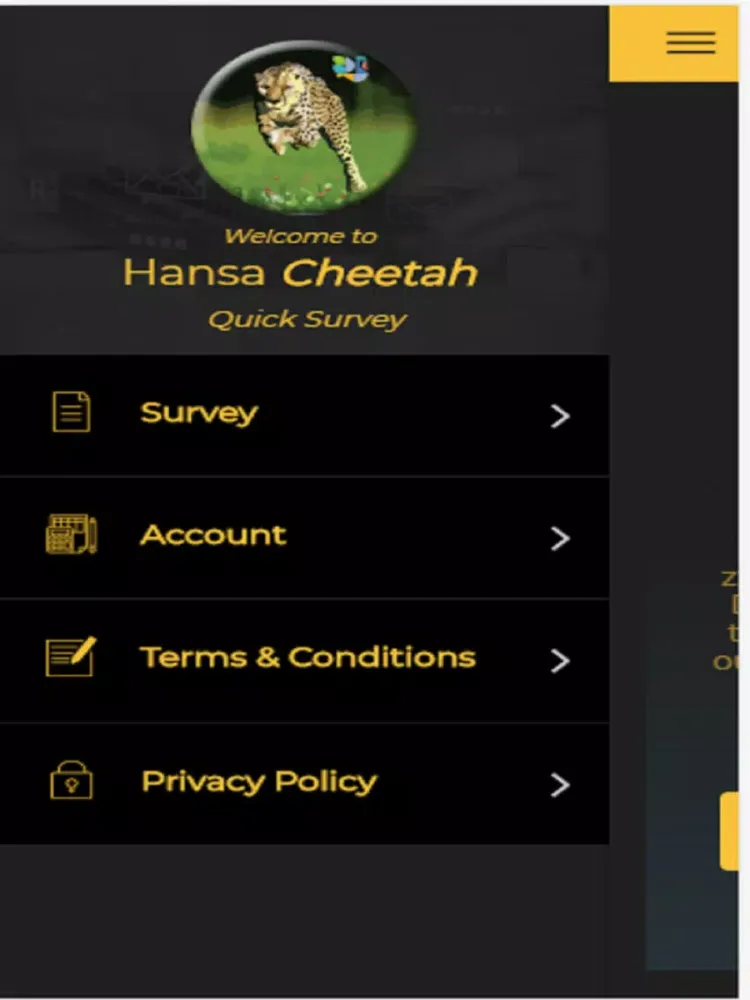 Hansa Cheetah iPad 應用截圖