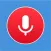 Platinum voice recorder