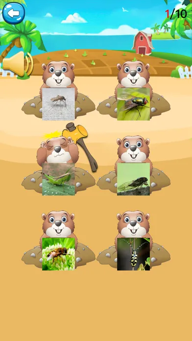 صور 快乐小鸡下蛋-小猪最爱玩游戏,昆虫世界