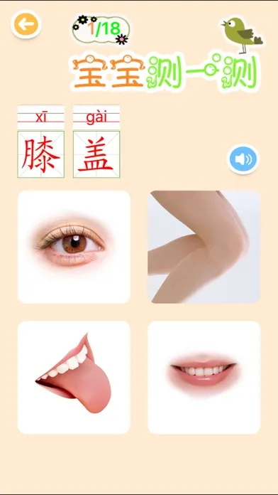 ภาพหน้าจอของ ABC宝宝学汉字儿童游戏巴士大全