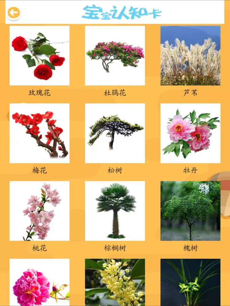 Captures d'écran de ABC宝宝认知大巴士认知植物全集 iPad 