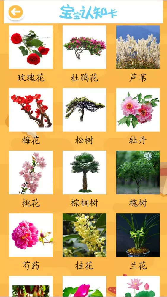 Captures d'écran de ABC宝宝认知大巴士认知植物全集