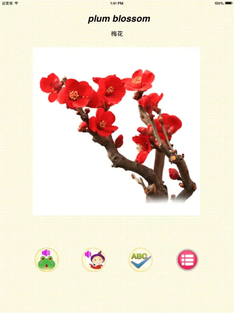 ภาพหน้าจอของ Learn plant-English words game iPad 