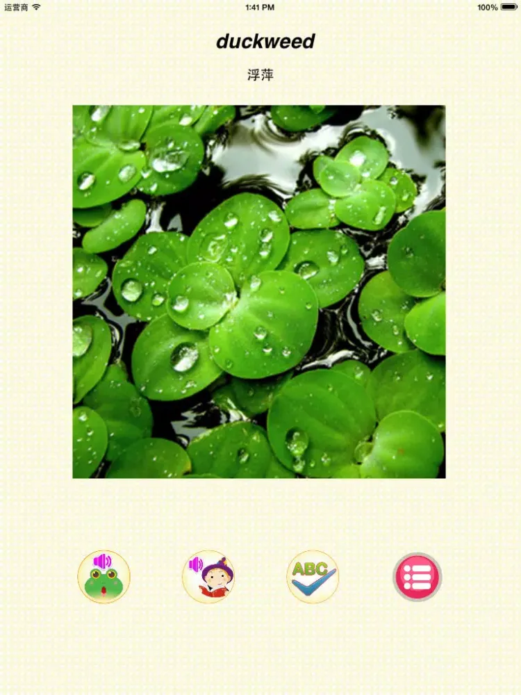 ภาพหน้าจอของ Learn plant-English words game iPad 