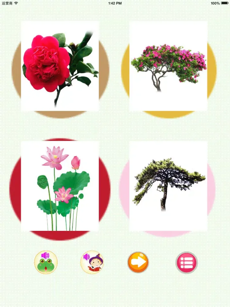 ภาพหน้าจอของ Learn plant-English words game iPad 
