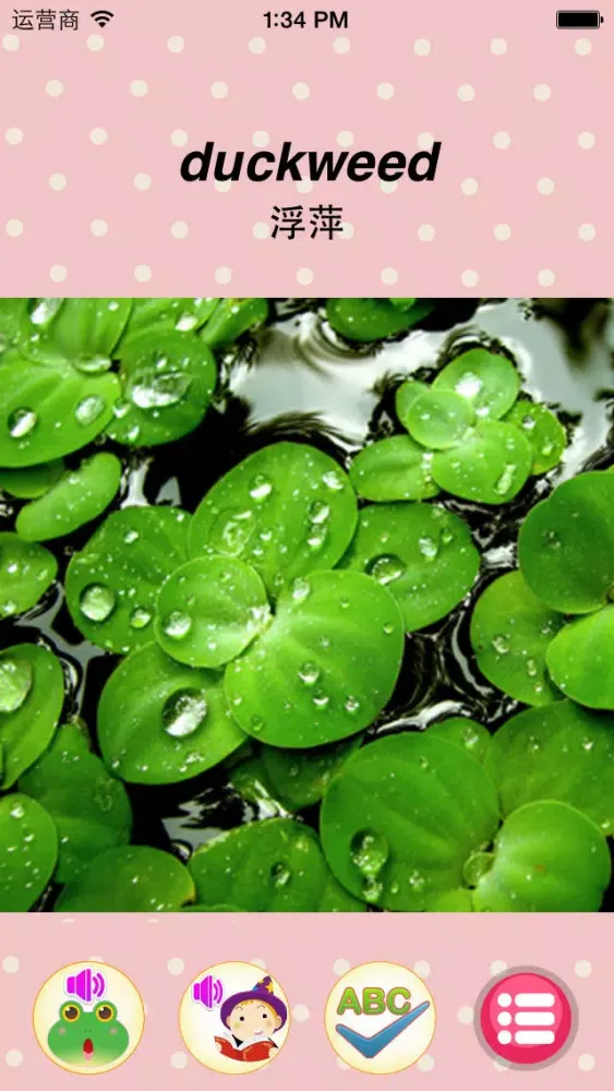 ภาพหน้าจอของ Learn plant-English words game