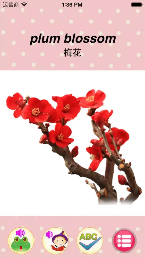ภาพหน้าจอของ Learn plant-English words game