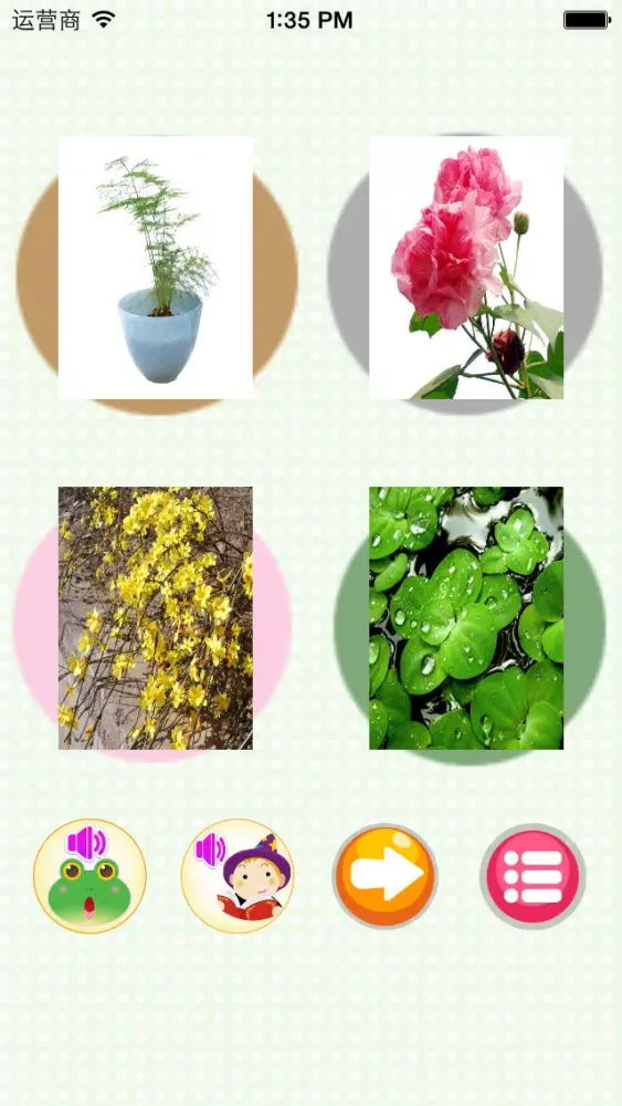 ภาพหน้าจอของ Learn plant-English words game