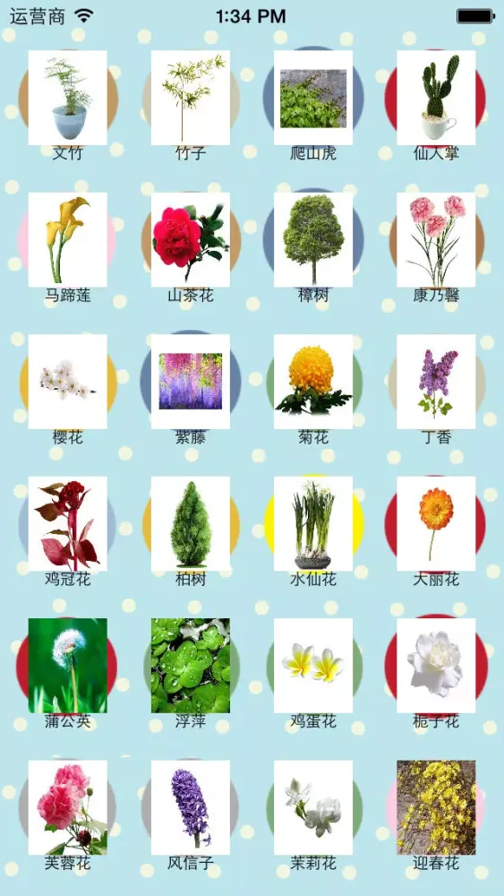 ภาพหน้าจอของ Learn plant-English words game