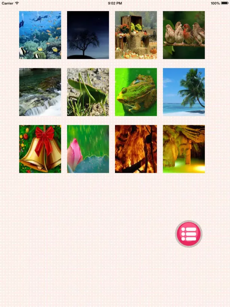 Baby English-learn Animals(Kids Game, Baby Cognitive, Learn Words) iPad Screenshots