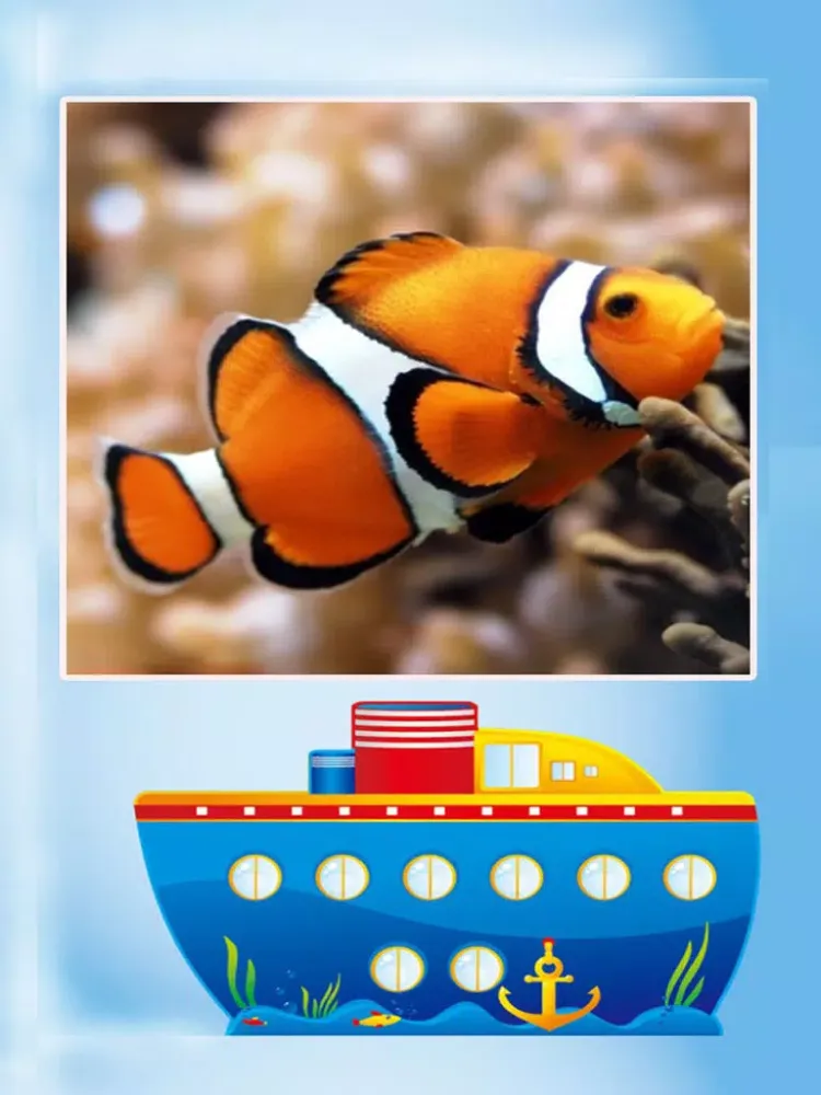 Zrzuty ekranu Learn Sea iPad 