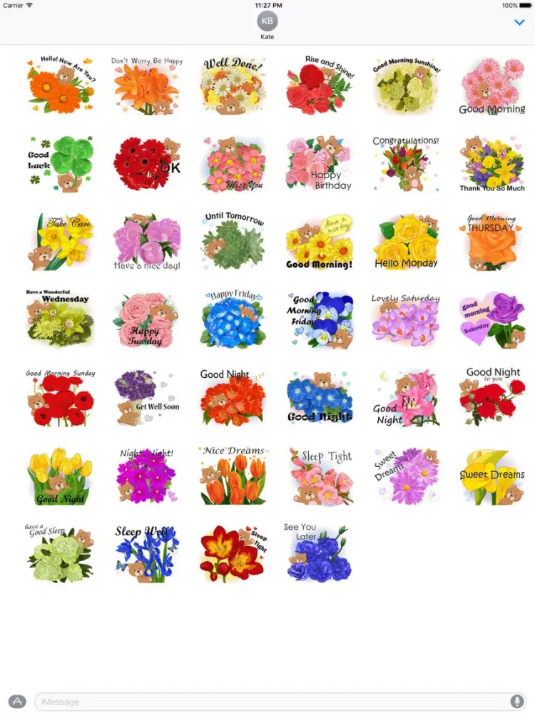 Adorable Blossom Bear Sticker iPad 应用截图