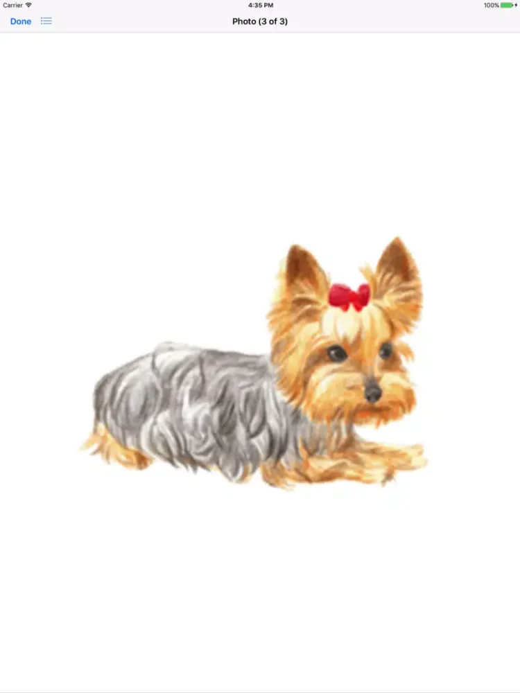 ภาพหน้าจอของ Adorable Yorkie Dog Sticker iPad 