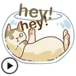Animated Lazy Cat Sticker