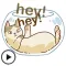 Animated Lazy Cat Sticker