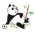 Animated Panda And His Lover Animated Panda And His Lover