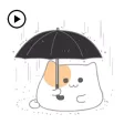 Animated So Cute Cat Sticker Animated So Cute Cat Sticker