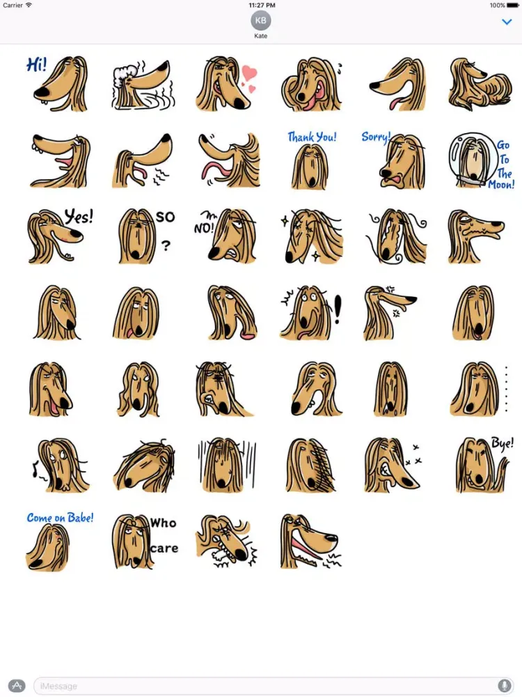 Capturas de pantalla de Funny Afghan Hound Dog Sticker iPad 