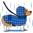 Lovely Welsh Corgi Dog Sticker