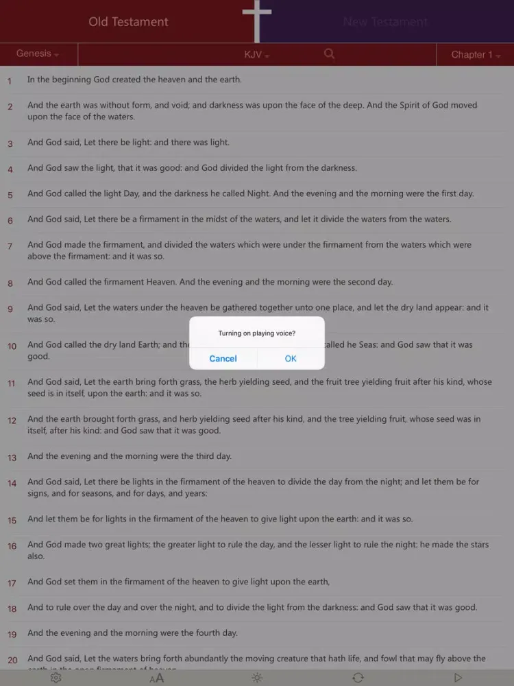 KJV Bible (Audio Bible & Study Bible) iPad  Ekran Görüntüleri