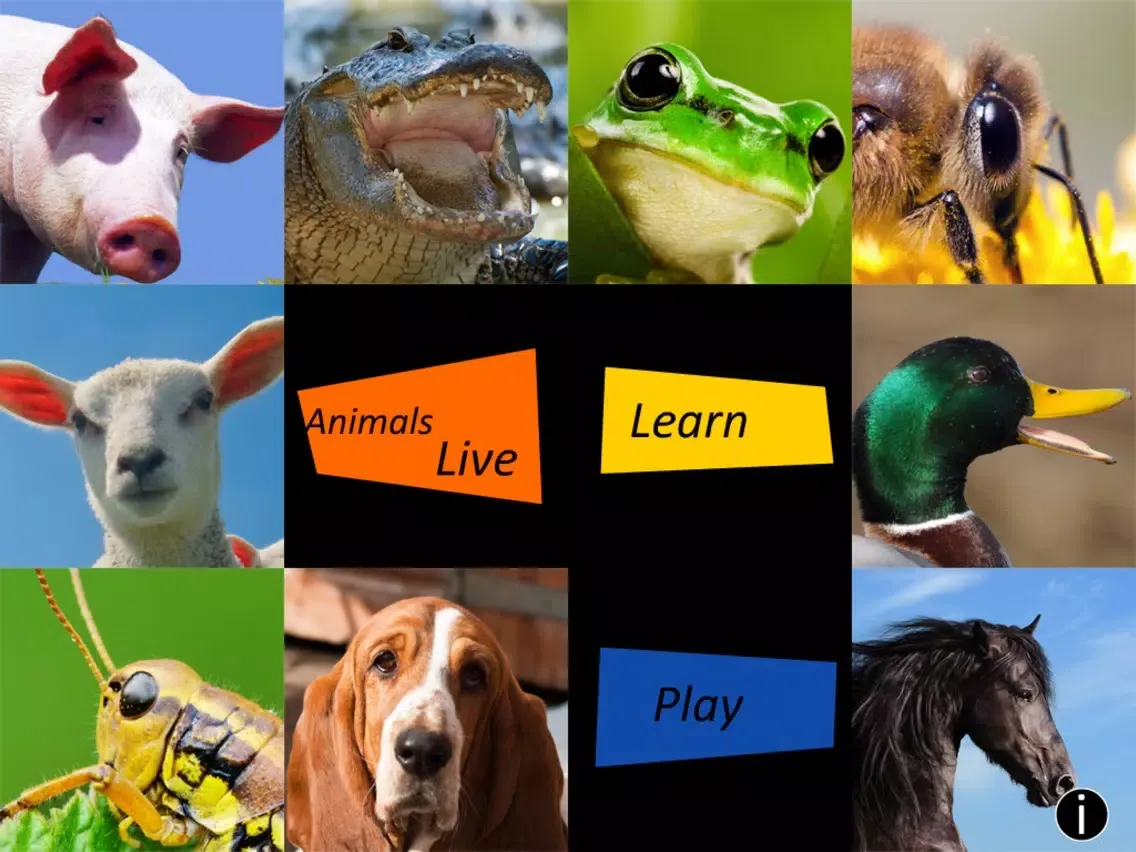 Screenshot di Animals Live iPad 