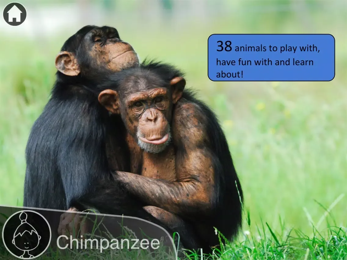 Screenshot di Animals Live iPad 