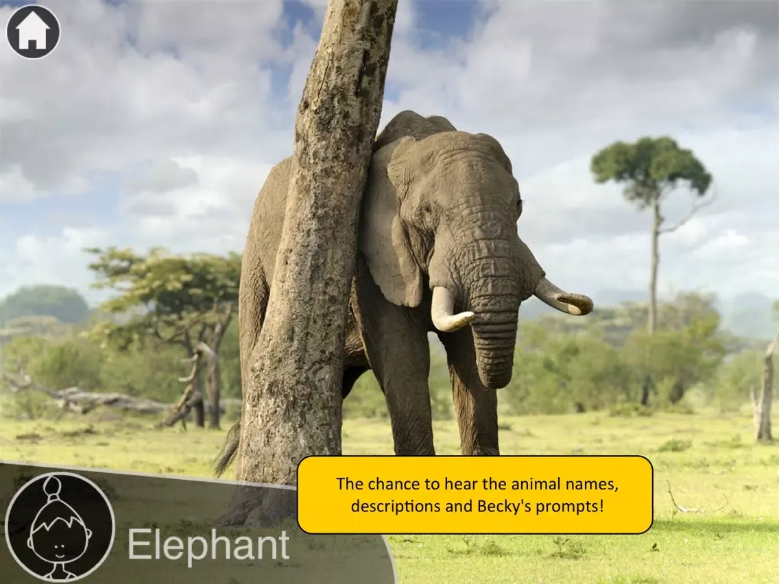 Screenshot di Animals Live iPad 
