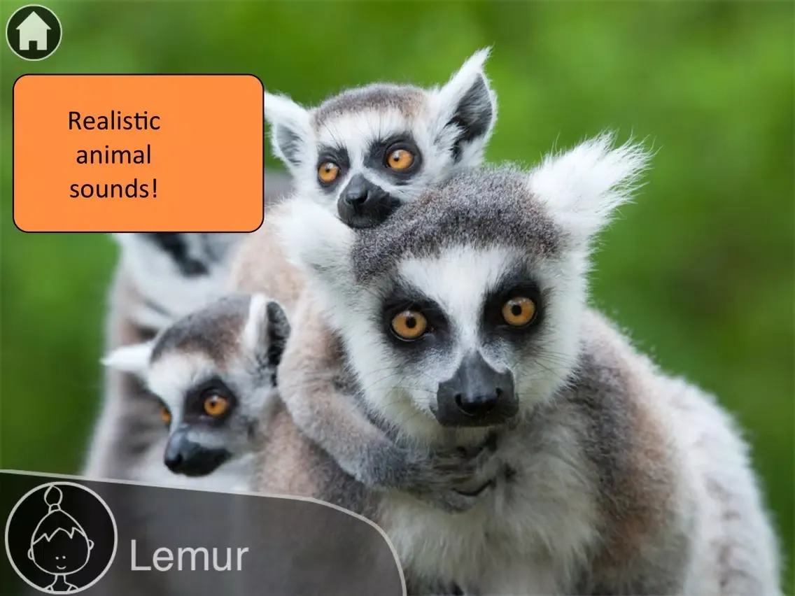 Screenshot di Animals Live iPad 