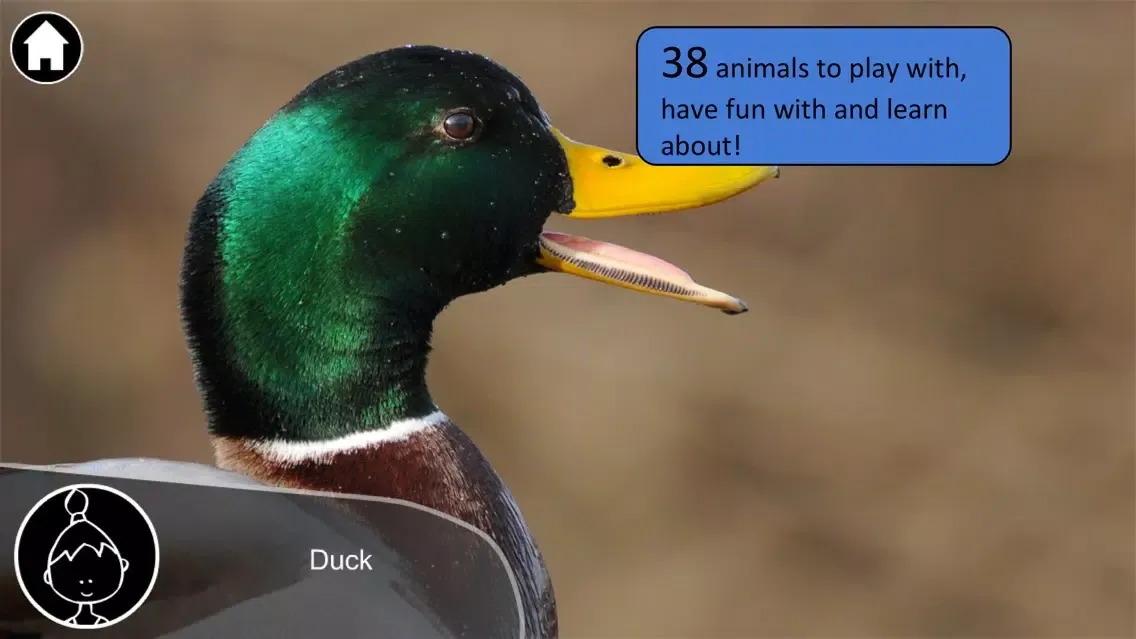 Screenshot di Animals Live