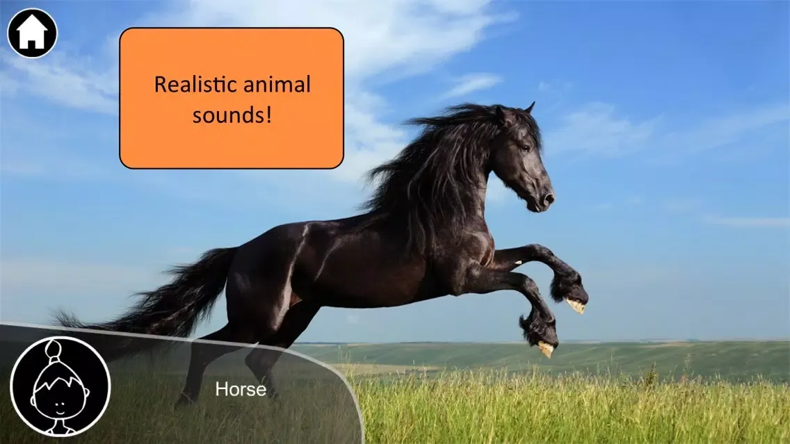 Screenshot di Animals Live