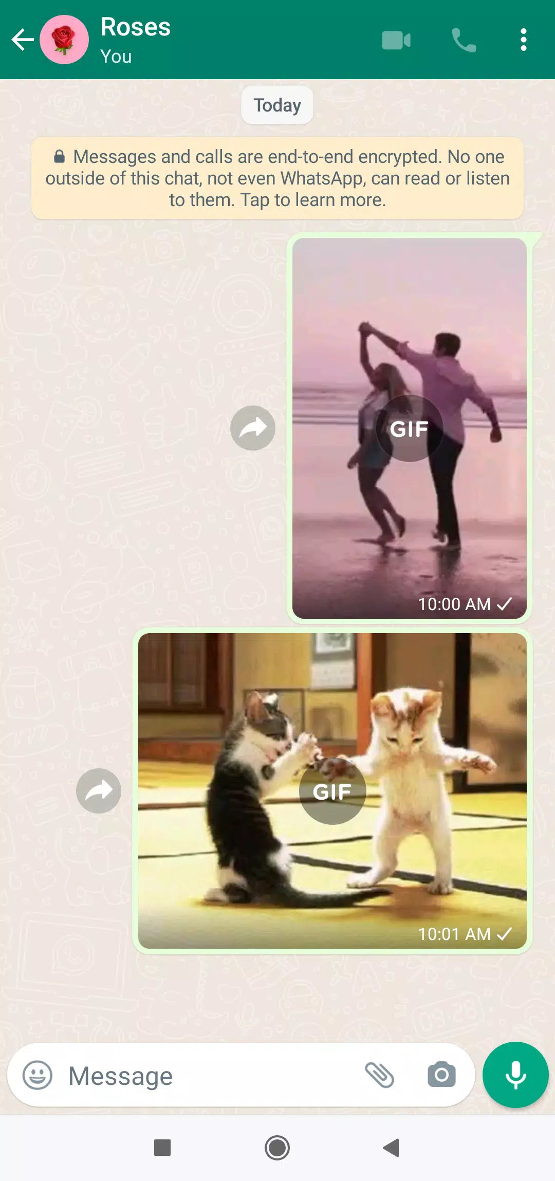 Funny Dancing GIFApp-Screenshots6