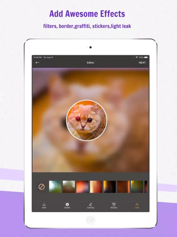 Magic Followers’ Avatar Maker iPad  Screenshots