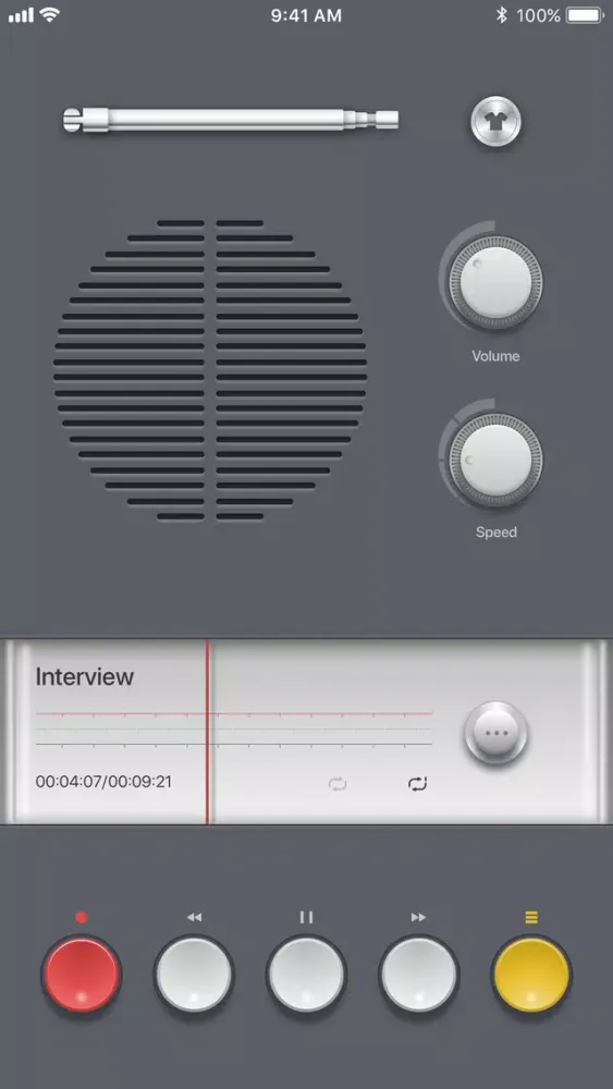 Voice Recorder PRO, Recording سکرین شاٹس