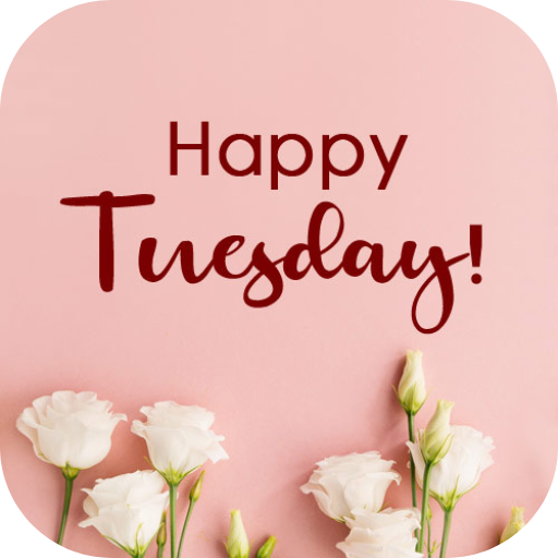 happy tuesday
