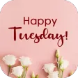 happy tuesday