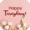 happy tuesday