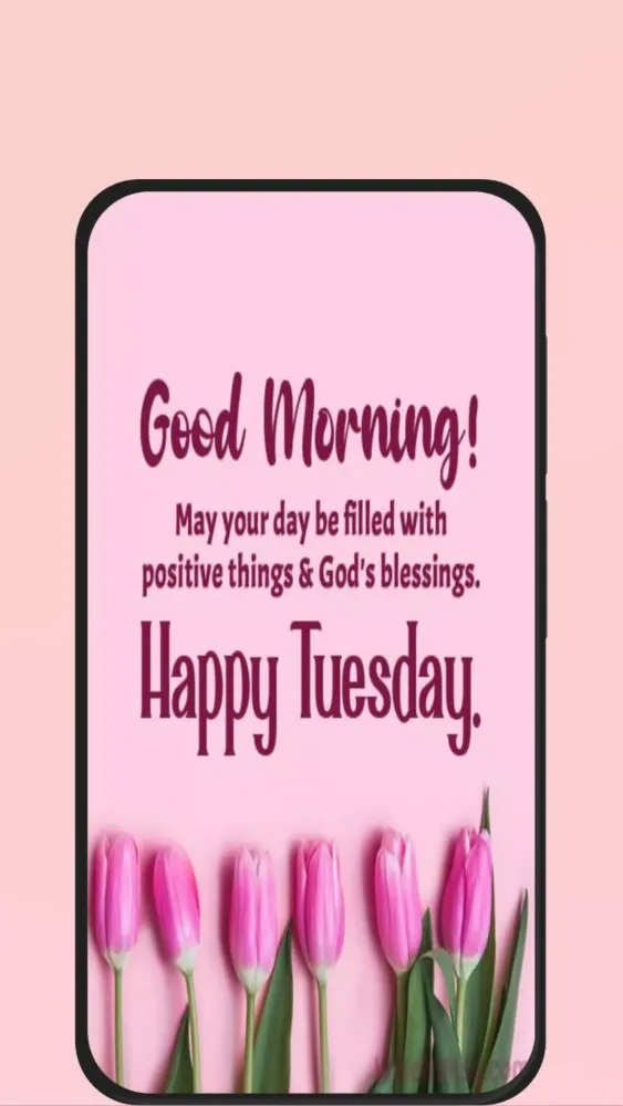 happy tuesday应用截图
