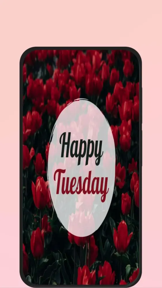 happy tuesday应用截图