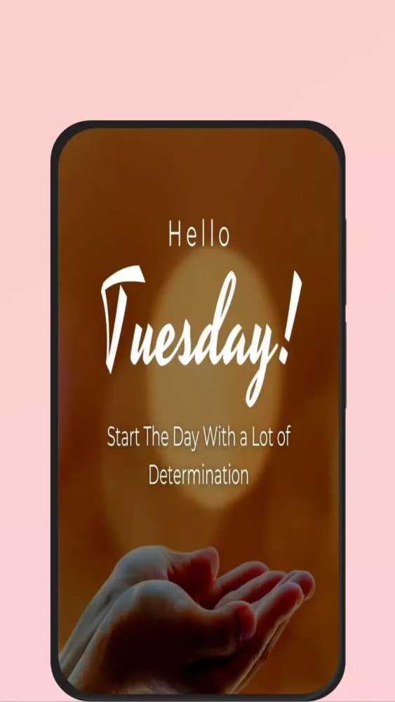 happy tuesday应用截图