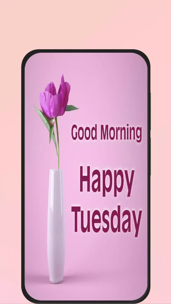 happy tuesday应用截图