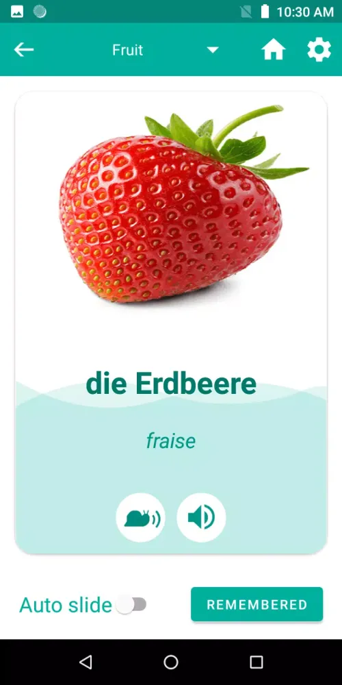 French German Translator 스크린샷