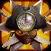 Ninja Time Pirates